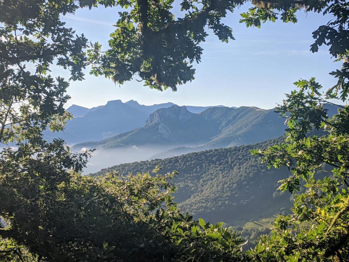 Apartamento Olmares Picos de Europa - 4 personas Lomena Bagian luar foto